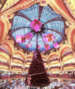 pokok-krismas 32 senarai